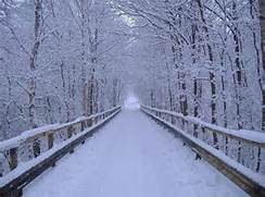 snowy bridge
